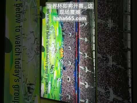 王曼昱蒯曼,喜提女子双,打金牌,利记官网,sbo体育入口,利记体育登录