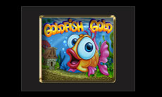 goldfish-gclub